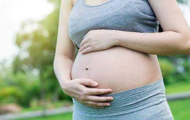 温州代怀孕包儿子，温州人工受孕费用：温州人工授精价格