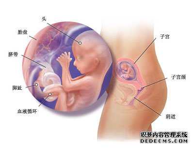 南京找人供卵试管生小孩,南京正规供卵试管机构—
