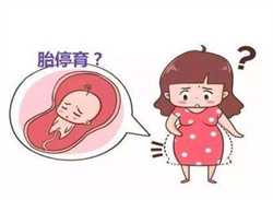 深圳不孕不育试管助孕,深圳公明试管婴儿公司-调查显示73%的不孕不育患者不排