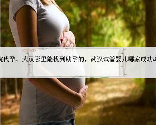 湘雅医院代孕，武汉哪里能找到助孕的，武汉试管婴儿哪家成功率最好？