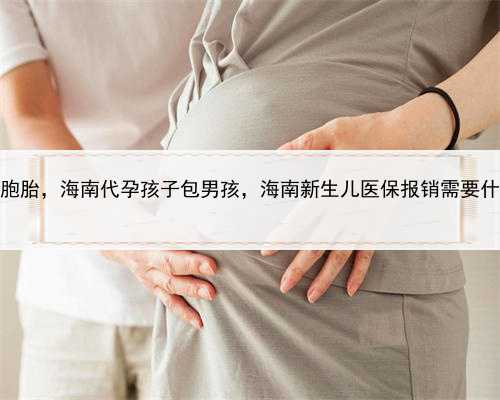 代孕多胞胎，海南代孕孩子包男孩，海南新生儿医保报销需要什么证件