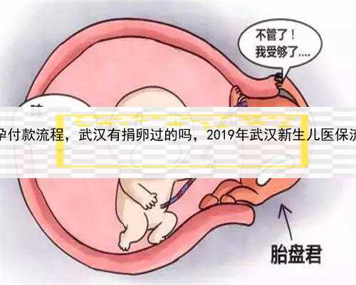 代孕付款流程，武汉有捐卵过的吗，2019年武汉新生儿医保流程