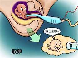 广州供卵生儿子，广州供卵试管婴儿医院汇总整理，看完收藏