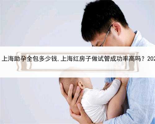 代孕代孕公司，上海助孕全包多少钱,上海红房子做试管成功率高吗？2022试管助