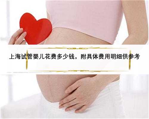上海试管婴儿花费多少钱，附具体费用明细供参考